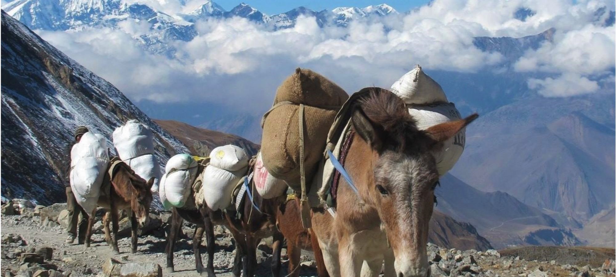 Mountain Biking Tours Nepal